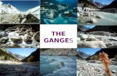 The Ganga System