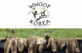 Wwoof korea introduction online