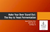 Make Your Beer Stand Out: The Key to Yeast Fermentation