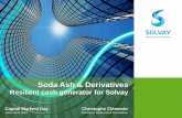 Soda Ash & Derivatives Resilient cash generator for Solvay