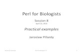 Perl for Biologists