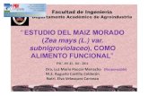 ESTUDIO DEL MAIZ MORADO (Zea mays (L.) var. subnigroviolaceo ...