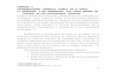 15 CAPÍTULO 2 CONSIDERACIONES JURÍDICAS ACERCA DE LA ...