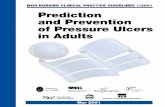 Prediction and Prevention of Pressure Ulcers in Adults