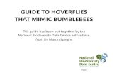 GUIDE TO HOVERFLIES THAT MIMIC BUMBLEBEES