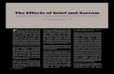 The Effects of Grief and Sorrow: Damages in Illinois Wrongful Death ...