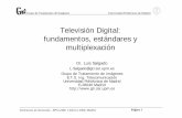 Televisión Digital: fundamentos, estándares y multiplexación