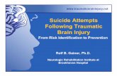Suicide Attempts Following Traumatic Brain Injury
