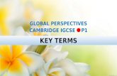 GLOBAL PERSPECTIVE CAMBRIDGE IGCSE: KEY TERMS