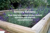 Sensory gardens: how they help reduce stress, restore attention and improve accomplishment