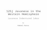 125 Years of  Javanese in the Western Hemisphere - Kaboel Karso