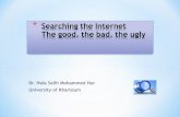 Searching the Internet (The good, the bad and the ugly)