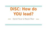 Disc: How do YOU lead?
