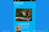 Twigle Birds Field Guide with Bird Photo Identification on Windows Phone