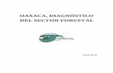 Oaxaca, diagnóstico del sector forestal