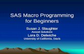 SAS Macro Programming For Beginners