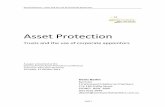 Asset Protection – Trusts and the use of corporate appointors