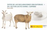 Datos de las declaraciones obligatorias del sector lácteo ovino ...