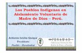 Los Pueblos Indígenas en Aislamiento Voluntario de Madre de Dios ...