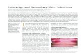 Intertrigo and Secondary Skin Infections