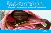 Exploring a responsible framework for the Horn of Africa Crisis ...