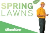 Creating a Beautiful Spring Lawn | Tips from The Grounds Guys®
