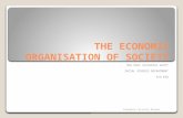 The economic organisation of society
