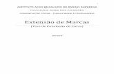 EXTENSÃO DE MARCAS - PEPSICO/TODDY/TODDY CAFÉ - AGÊNCIA INSIGHT