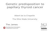 Genetic predisposition to papillary thyroid cancer by Albert de la Chapelle, MD, PhD