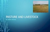 Pasture and livestock Presentation by Fariya Arshad