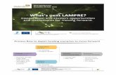 Cooperation and clusters EU-grants for moving forward EU research outcomes: the FP7-LAMPRE case.