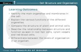 Cell structure & organisation