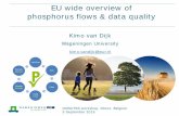 EU wide overview of phosphorus flows & data quality