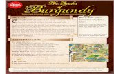 Hướng dẫn luật chơi board game Castle of burgundy