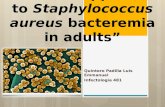 Clinical approach to staphylococcus aureus bacteremia in