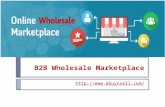 Advantages that B2B Portals Offer To A B2BWholesale Supplier