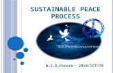 Sustainable peace process
