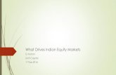 What Drives Indian Equity Markets