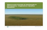 Status and Trends of Wetlands in Minnesota: Vegetation Quality ...