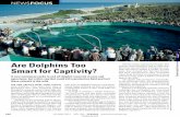 Are Dolphins Too Smart for Captivity? -