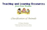 Classification of Animals PowerPoint