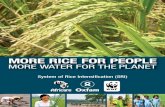 More Rice for People, More Water for the Planet