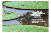 REPORTE INTEGRADO 2013