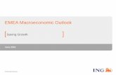 EMEA Macroeconomic Outlook - Saving Growth