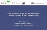 Case Studies of Major Industrial Accidents