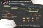 Luigi Capano Raineri_Infographic CV
