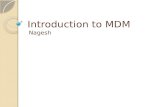 Mdm introduction
