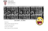 FNBE 0315: Social Psychology - Comic Project
