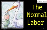 The  Normal  Labor