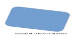 DIAGNOSTICO PATOLOGICO EN AVE DE CORRAL (HAEMOPHILUS PARAGALLINARUM)